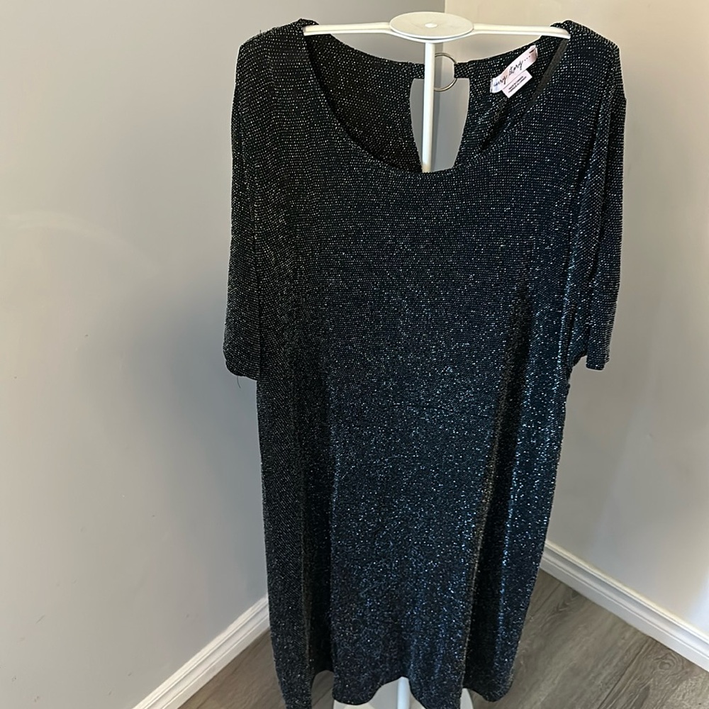 *Pennington In Every Story size 2X sparkly lightweight dress.